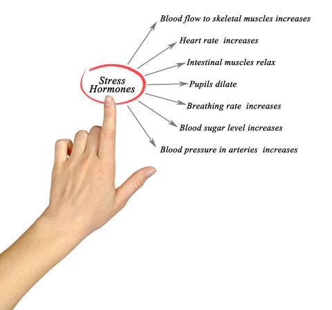 STRESS - THE GOOD, THE BAD AND THE UGLY